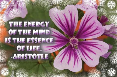 The Energy Of The Mind Is The Essence Of Life Aristotle Wonder