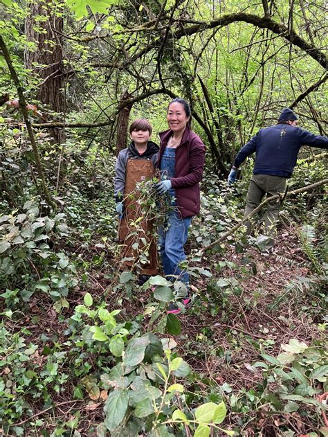 Restoration Event Pioneer Park Mercer Island Washington