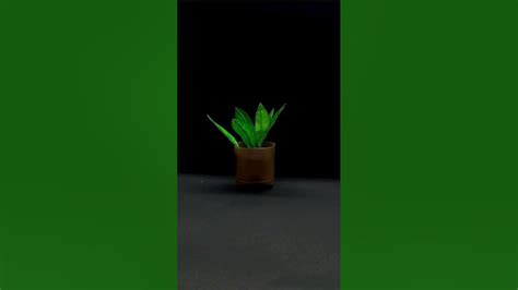 Diy Fake Plant Using Masking Tape☘️😍 Shorts Diy Trending