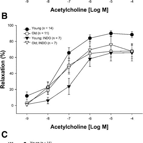 Effects Of Indomethacin And L Name On Flow Induced Vasodilation In