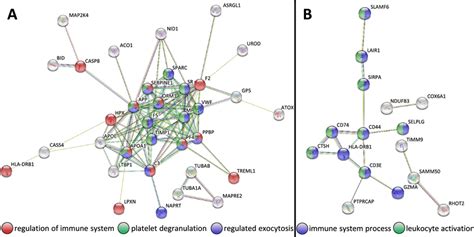 Proteinprotein Interaction Network Proteinprotein Interaction