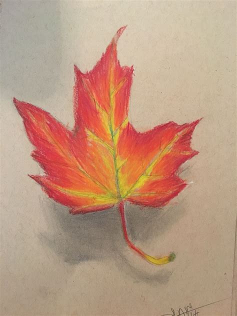 maple leaf drawing realistic - Carlena Pitt