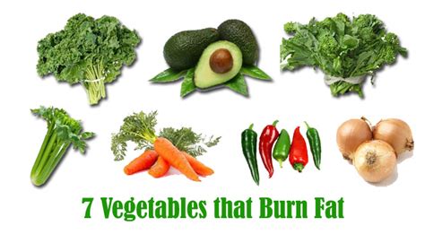 Fat Burning Vegetables Women Health Info Blog