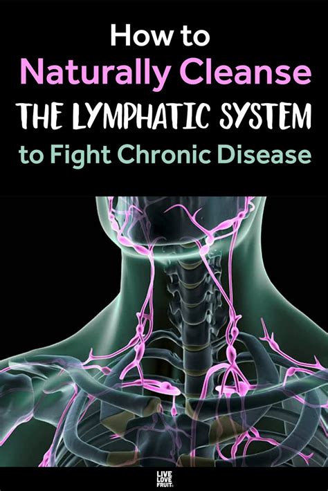 How To Naturally Cleanse The Lymphatic System To Fight Chronic Disease