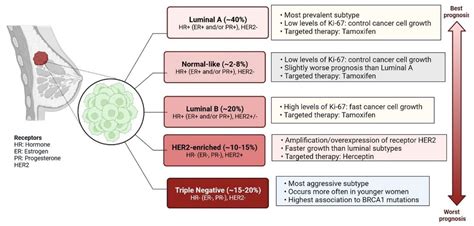 Cells Free Full Text Recent Clinical Advances On Long Non Coding Rnas In Triple Negative