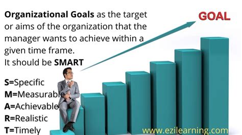 Organizational Goals