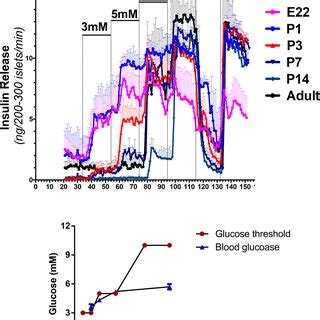 Differential Diagnosis Of Hypoglycemia Based On Plasma Metabolic Fuel