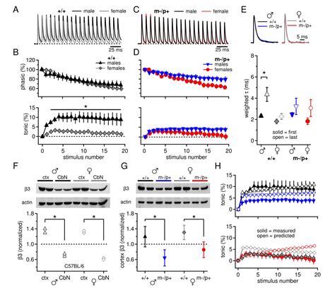 Sex Differences In Cerebellar Synaptic Transmission And Sex Specific