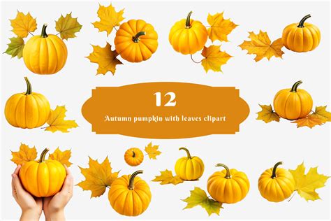 Autumn Pumpkin With Leaves Clipart Graphic By Shahjahangdb Creative