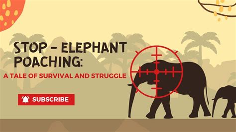 Elephant Poaching A Tale Of Survival And Struggle Youtube