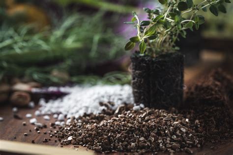 Make Your Own Diy Organic Seedling Mix For Cheap — The Seed Sage