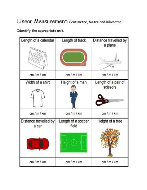 Choose Appropriate Units To Measure Length Worksheet Live Worksheets Worksheets Library