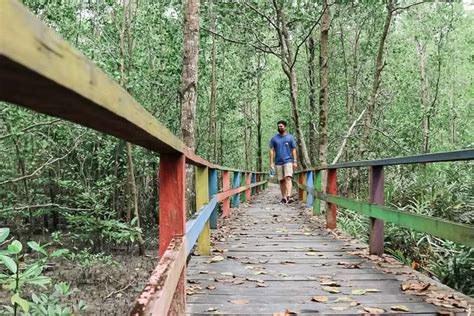 Wisata Mangrove Semanting Potensial Sayangnya Terkendala Hal Ini