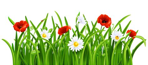 Grass Border Clip Art - ClipArt Best