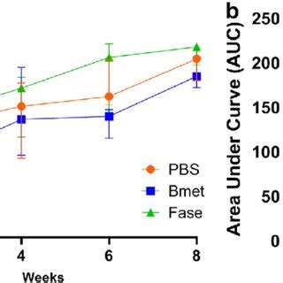 Repopulation Kinetics In Mice Irradiated With Gy Optimal