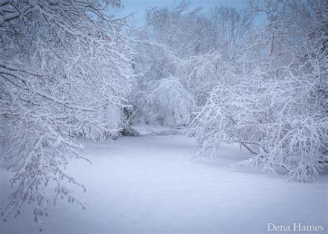 13 Snow Photography Tips: A Beginner's Guide