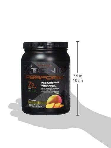 Scivation Xtend Perform BCAA Powder Peak O2 Glutamine Citrulline