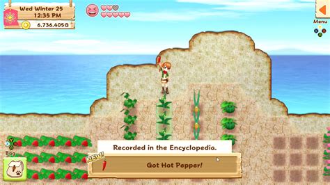 Harvest Moon: Light of Hope | OnRPG