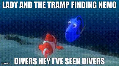 YARN LADY AND THE TRAMP FINDING NEMO DIVERS HEY I VE SEEN DIVERS