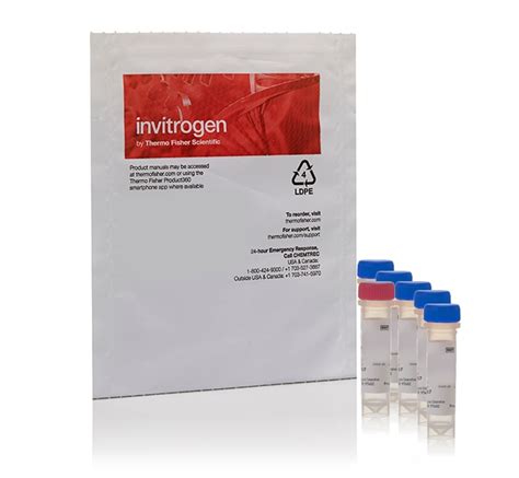 Invitrogen Image It Live Green Reactive Oxygen Species Detection Kit