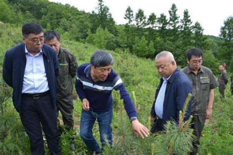 林木遗传育种学科持续服务龙江建设，传承绿色情怀 林木遗传育种全国重点实验室东北林业大学