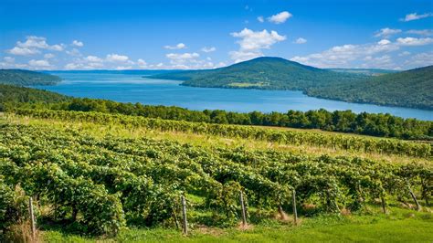 Finger Lakes Wine Tasting