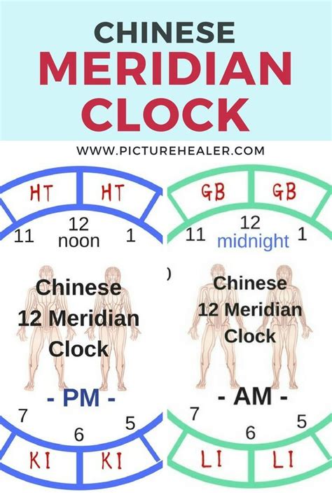 Learn The Ancient Chinese Meridian Clock And How To Follow It For