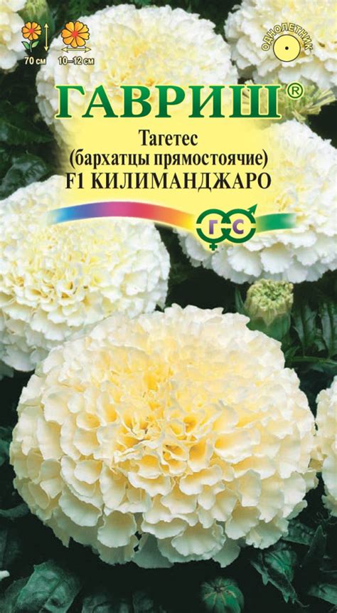 Бархатцы Килиманджаро прям. 0,05 гр. | ХозВыбор интернет-магазин ...