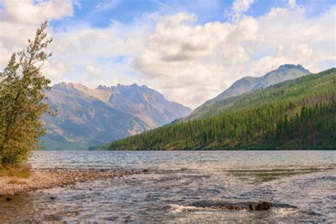 Bowman Lake, Montana - Discovering Montana