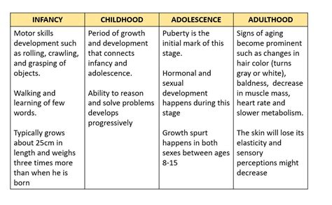 Erik Eriksons Eight Stages Of Psychosocial Development Off