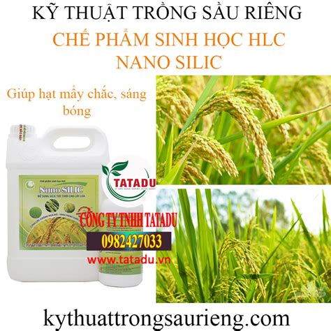 Nano Silic Chai 500ml Can 5 LÍt ChẾ PhẨm Sinh HỌc Hlc BỔ Sung Silic