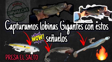 Capturamos lobinas GIGANTES con estos SEÑUELOS Presa el SALTO