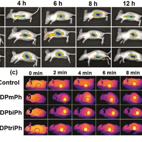 A In Vivo Fluorescence Imaging Of Nude Mice With The Bdpmph Bdpbiph