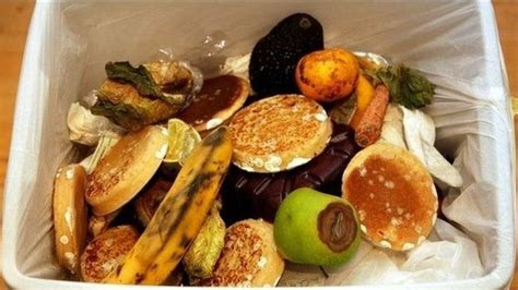 Fifth Of World S Food Lost To Waste And Over Eating Antarctica Journal