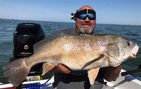 Freshwater Drum Record