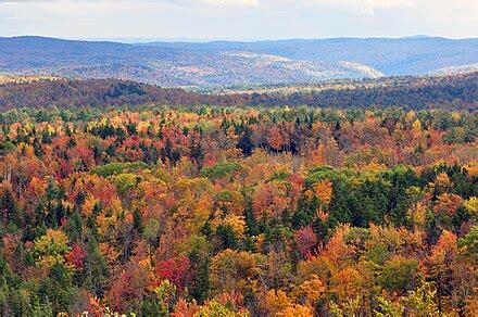 Wilmington, Vermont - Wikipedia