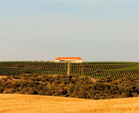 Guía Peñín de Enoturismo Palacio Quemado Peñín El nuevo Peñín