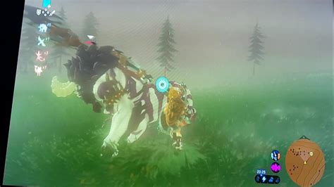 Most Efficient Way To Kill A Lynel Youtube