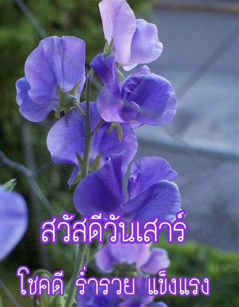 ปกพนโดย WAREE JITPAYAP ใน Day อรณสวสด ภาพประกอบ ภาพ