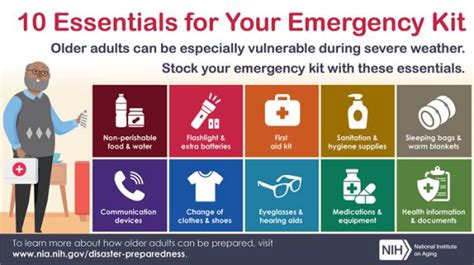 10 Emergency Kit Essentials Infographic Best Infographics