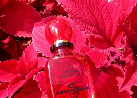 Anglomania Vivienne Westwood Perfume A Fragrance For Women 2005