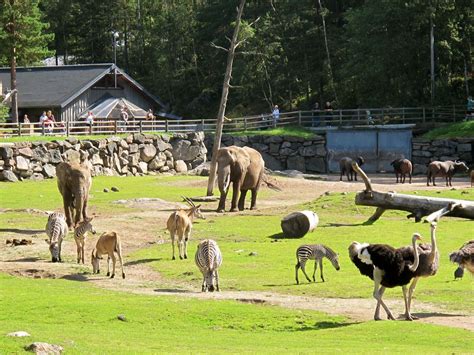 Lizas Place Borås Djurpark