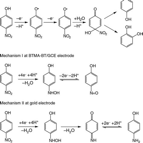 Possible P NP Electrochemical Oxidation Pathways Mechanism I Zunic Et