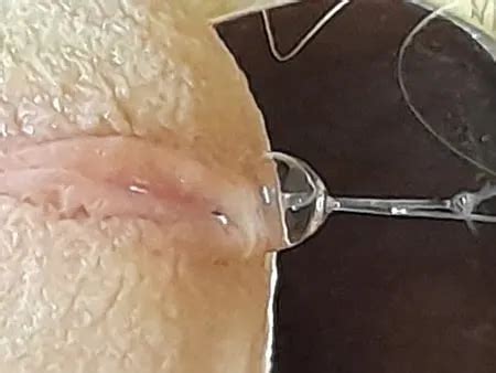 Free Gay Porn Pics Homosexual Sex Photos Xhamster