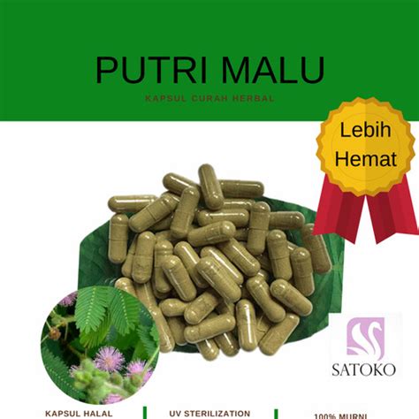 Jual Kapsul PUTRI MALU Herbal Obat Kuat Pria Lemah Syahwat LukaDiabetes