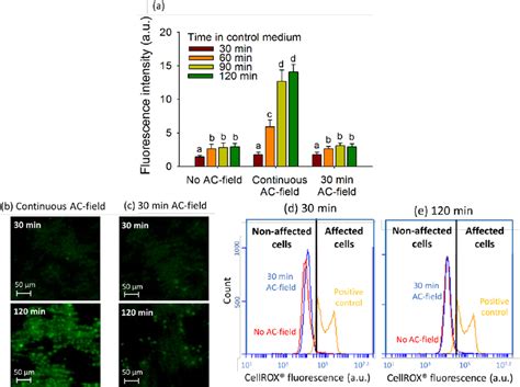 Effect Of The Ac Field Duration On Fluorescence Intensity Of D Cell