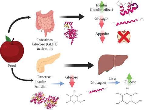 All You Need To Know About Food Glucose Benefits Risks And Best Sources