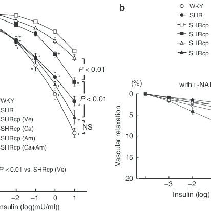 Effects Of Candesartan Amlodipine And Their Combination On