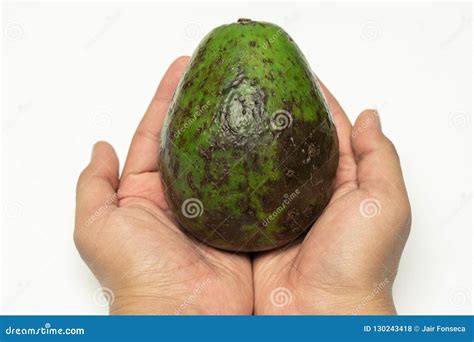 Avocado In The Hands Close Up Stock Photo Image Of Exotic Kitchen