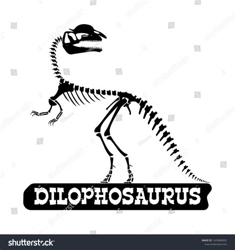 Dinosaur Skeleton Dilophosaurus Silhouette On Isolated Stock Vector (Royalty Free) 1420860692 ...